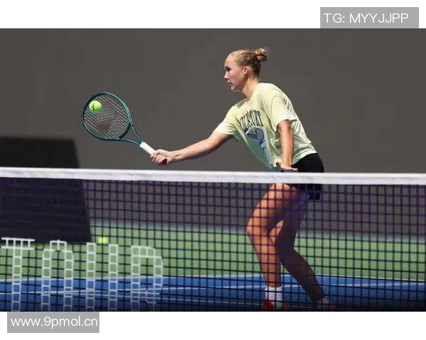 武汉网球队在大师赛中的灵活性展现与战术调整分析