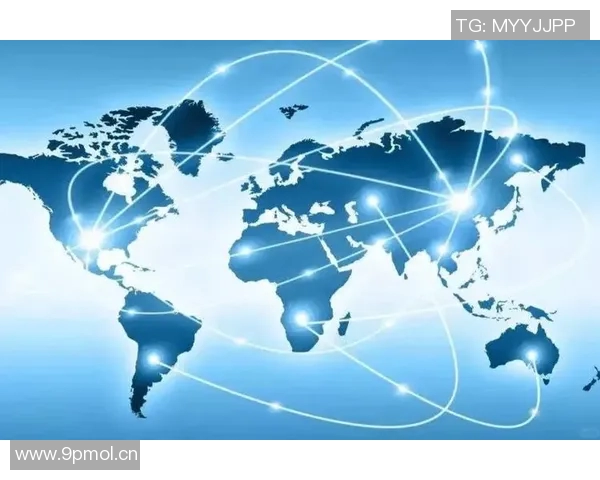 全球视野下的国际合作与挑战:应对当代全球化新机遇与风险 全球视野下的国际合作与挑战:应对当代全球化新机遇与风险